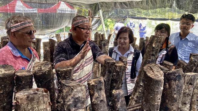 宜兰县南澳乡今（6日）成立首家「泰雅族原住民林业暨劳动合作社」。（吴佩蓉摄）