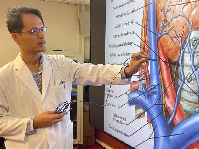 台中榮總一般外科醫師陳維信指出，甲狀腺位於頸部前下方，而控制聲帶的喉返神經緊靠在甲狀腺後方。（台中榮總提供／馮惠宜台中傳真）