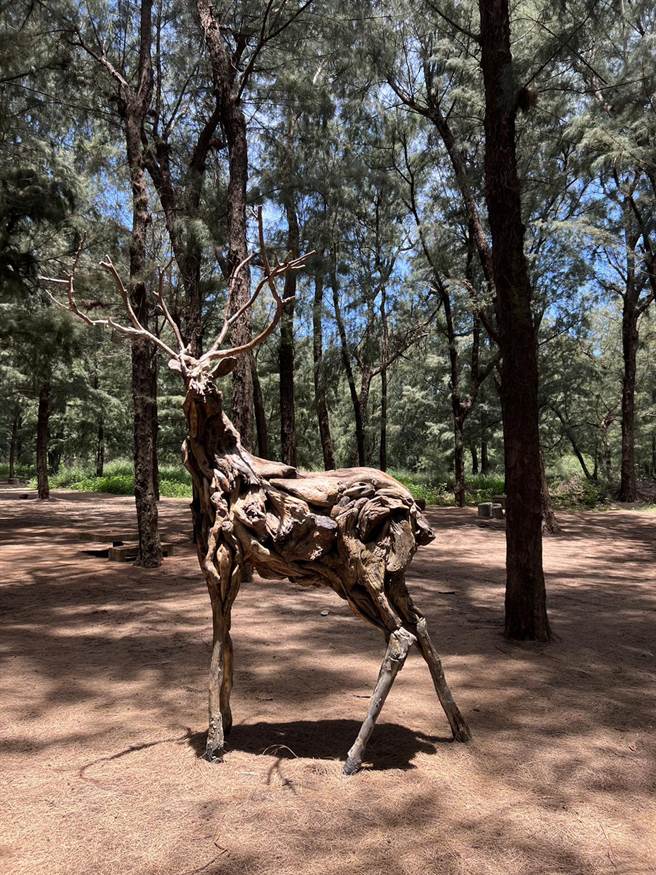 艺术作品抢先看。（苗栗县政府提供／李京升苗栗传真）