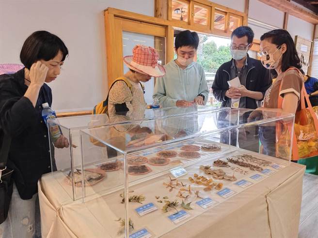 民眾参观林业试验所嘉义树木园的「具翅种子」特展，颇感有趣。（廖素慧摄）