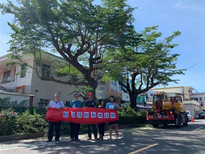 屏东返乡青年叶语蓁与ISA国际认证攀树师林新旻合作，替新埤乡老树正常修剪，传达修树不砍树才能护树的观念。（谢佳潾摄）