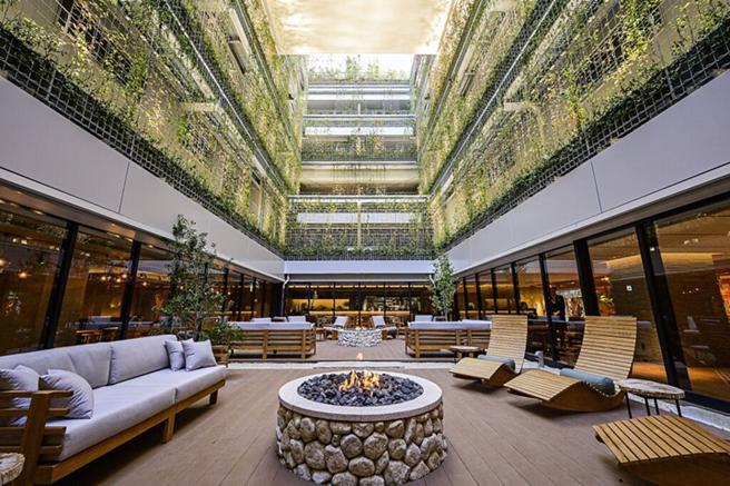 2019年底開幕的「GOOD NATURE HOTEL KYOTO」，隔年就奪下美國WELL建康住宅認證(v1)金級肯定，大廳綠意盎然彷彿踏入森林仙境。（圖／BIOSTYLE Co.,Ltd.）