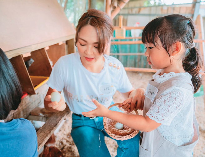亲子一起捡鸡蛋，把好吃又营养的蛋带回家。（图／随野家）