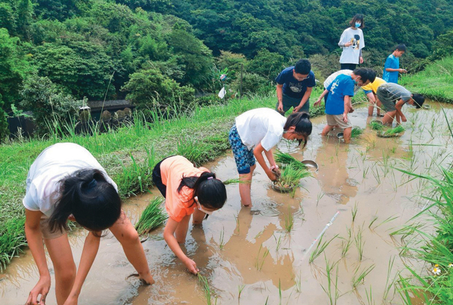 下田插秧感受农事辛劳，了解惜食的重要。（图／竹子湖蓝鹊农园）