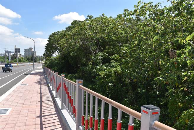 苗栗县政府都会区原住民综合活动中心将落脚头份市北横公路旁公有地。（谢明俊摄）