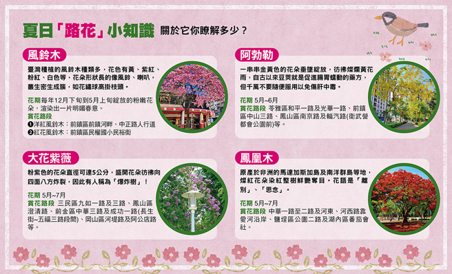 （圖／高雄畫刊提供）