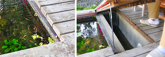 高雄厝陽臺覆土下設置排水連通管，集水至空氣層排出，這種設計可藉由空氣斷根，避免植物根部阻塞管線，且透過活動式棧板可檢修並清潔落水頭，讓排水管保持順暢。(攝影/Carter)
