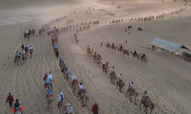 暑假旅游旺季为甘肃敦煌迎来大量游客，处于沙漠区的知名景点月牙泉上游客们骑着骆驼都会拥堵，为纾解「堵骆驼」现象，还设有骆驼专用号志。（图／快科技）