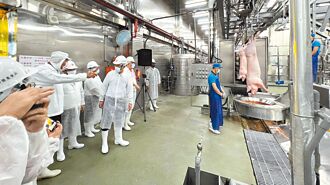 52萬隻種豬拔針 豬肉外銷可期