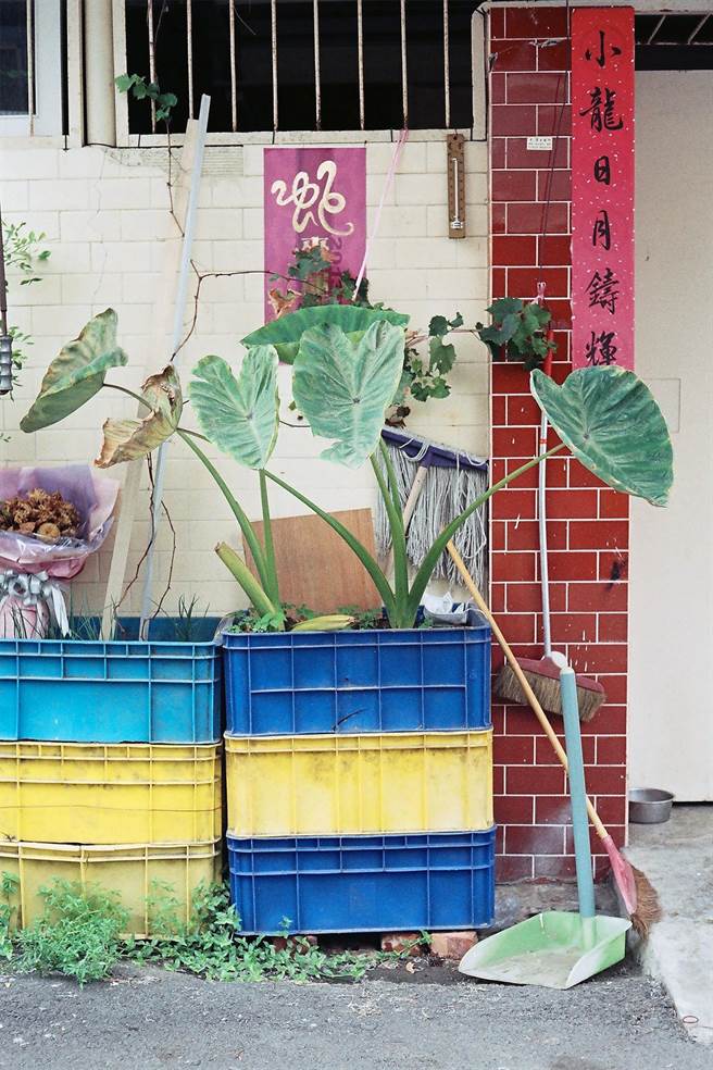 吳權倫《接替器》探討庶民居家及工廠前再利用工業容器盆栽的現象，以輕鬆幽默態度面對自然與文明衝突議題。（吳權倫提供）