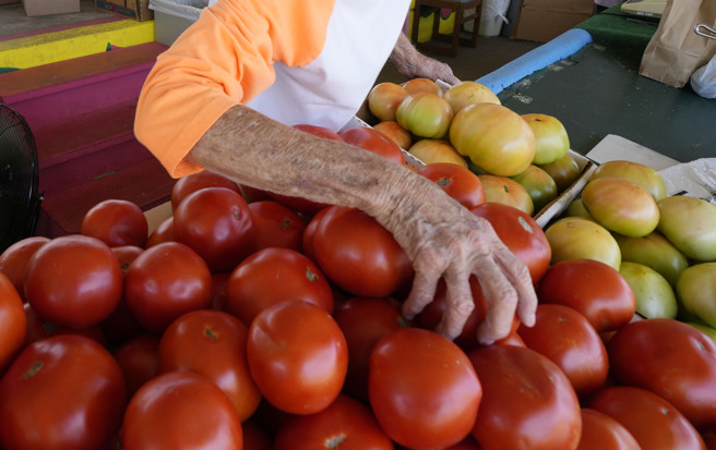 印度部分地區的番茄躉售價格一個月內飆漲288%，今天來到1公斤140盧比（1.7美元），零售價格則是更高，迫使印度許多民眾縮手，做菜減少用番茄。(圖/美聯社)