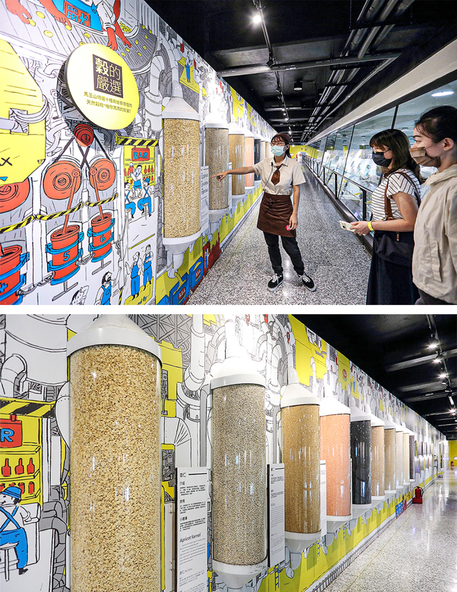 順著馬玉山故事館的環形玻璃空橋繞一圈，觀看隨身包產線的包裝流程，認識品牌歷史和日常生活中食用的穀物。(攝影/Carter)