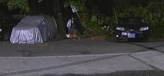 ▲基隆市百福公园传出有民眾遛狗未繫好狗炼，任由2只凶猛的狗把浪猫活活咬死，民眾愤而将录影画面PO网，直指已触法，希望能将饲主移送法办。（翻摄画面／徐佑升基隆传真）