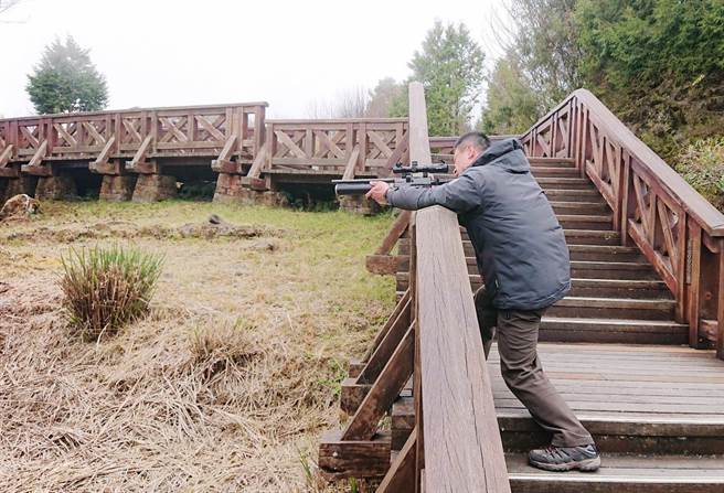 阿里山国家森林游乐区也有一定数量的猴群，嘉义林管处特别成立「人猴衝突巡护队」。（嘉义林管处提供∕吕妍庭嘉义传真）