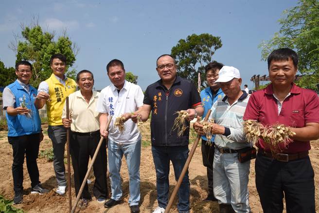 丰收的喜悦。（苗栗县政府提供／李京升苗栗传真）