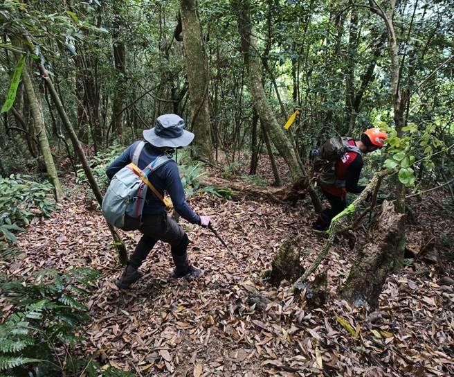 竹县油罗山传出山域事故，一对男女姓山友8日上山却迷路，救难人员获报后已寻获女山友，男山友仍失联中。（新竹县消防局提供／邱立雅竹县传真）