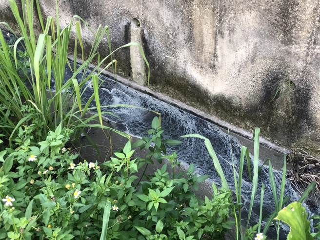 陈冠廷的养猪场被嘉义县议员何子凡检举疑涉违规排放养猪废水，环保局将派员稽查。（何子凡提供∕吕妍庭嘉义传真）