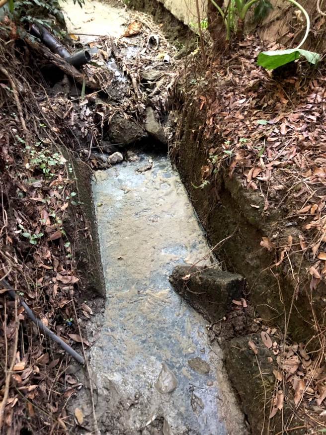 陈冠廷的养猪场被嘉义县议员何子凡检举疑涉违规排放养猪废水，环保局将派员稽查。（何子凡提供∕吕妍庭嘉义传真）