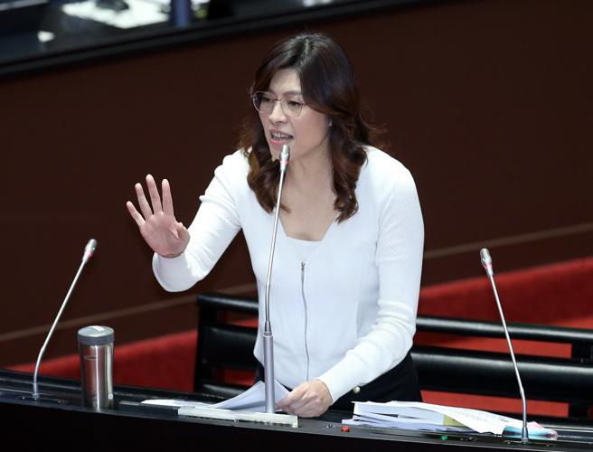 國民黨立委鄭麗文。（資料照,姚志平攝）