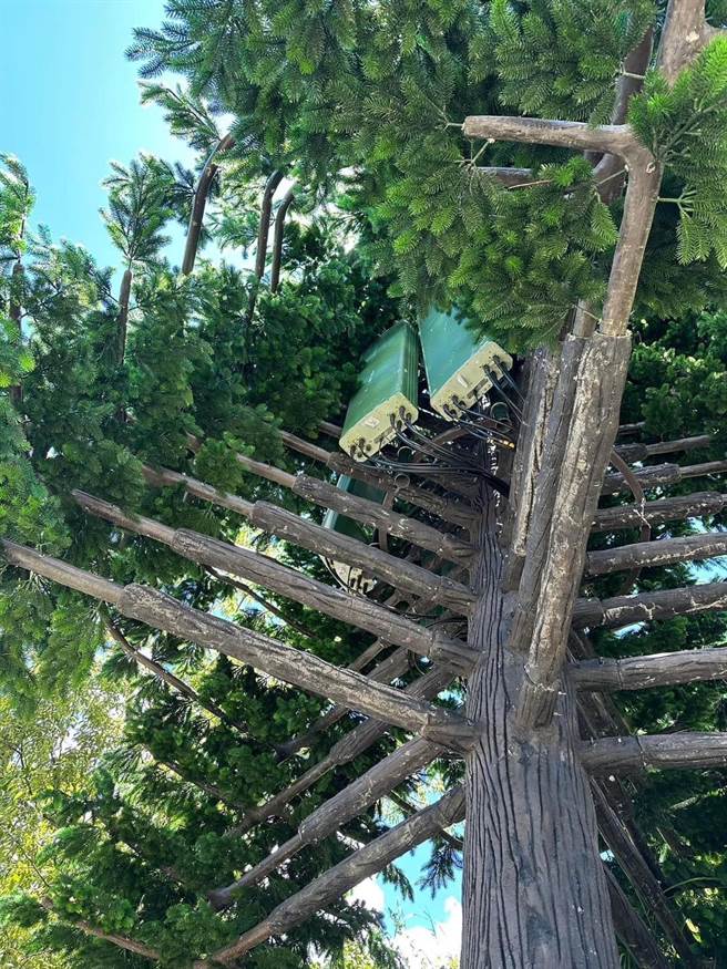 民眾沈先生将「假树基地台」拍照po网，引发网友热论，有人调侃「必」绿神木！（民眾提供／杨静茹南投传真）