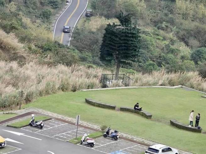 刘菁芬po出阳明山梦幻湖附近的「假树基地台」，认为偽装树应该可以做得更漂亮。（民眾刘菁芬提供／杨静茹南投传真）