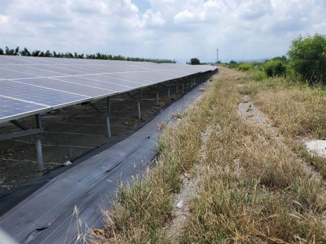 云林县画设8万公顷农业发展区，但至少有3000公顷作为太阳能发电用途，县长张丽善盼中央有总量配比。（周丽兰摄）