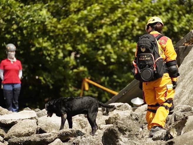 台中搜救犬积极参加搜救犬国际瓦砾堆任务检测。（台中市消防提供／陈淑芬台中传真）