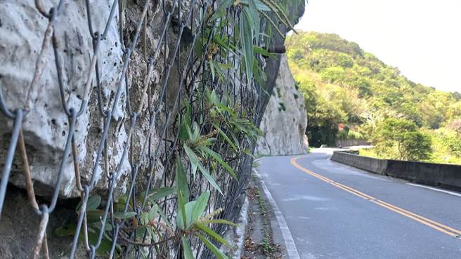 每逢颱風、地震或豪大雨，台23線泰源幽谷路段難逃落石崩塌的命運，造成泰源、北源及尚德3村落成為陸地孤島。（蕭嘉蕙攝）