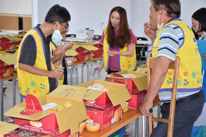 2023年苗栗县丰水梨评鑑比赛12日在三湾乡农会登场，由中兴大学教授及苗栗农改场人员负责评鑑。（谢明俊摄）