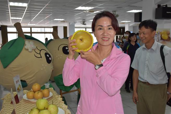 苗栗县出产的甘露梨个头硕大，苗栗县副议长张淑芬大力推荐。（谢明俊摄）