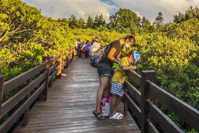 新丰红树林为国家级湿地，营建署对对保育利用计画还在审议，县府对民眾钓招潮蟹破坏生态行为，目前只能道德劝说。（罗浚滨摄）