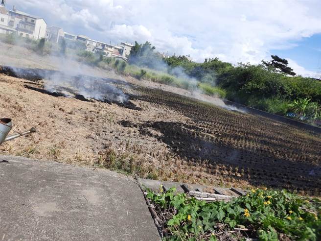 老翁晕倒的位置疑似有焚烧稻草整地的痕迹。（民眾提供／李京升苗栗传真）