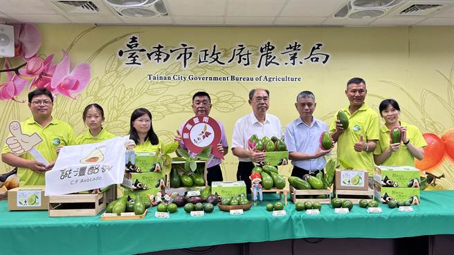 台南酪梨產量達9419公噸，為全台最大產區，占全台種植面積36％。（張毓翎攝）