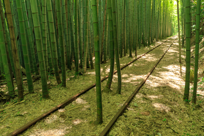 废线近40年的日本仓吉线，近来受观光客青睐，被日本网友封为「日本最美废线遗迹」。（图/shutterstock）