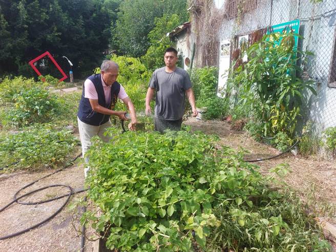 东区东势里长张财良推动长者农园，活化社区空间。(东区公所提供)