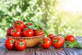 夏季吃番茄護心又養肝！ 但1族群不宜長期生吃