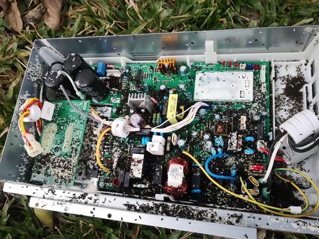 华南国小冷气机故障，一拆开景象吓死人，住满疣胸琉璃蚁。（民眾提供）