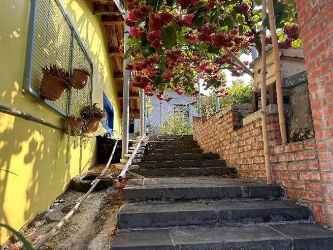 嘉縣梅山鄉大南社區花廊提供遮陰，也帶來繽紛色彩的視覺景觀。（嘉義縣政府提供／廖素慧嘉縣傳真）