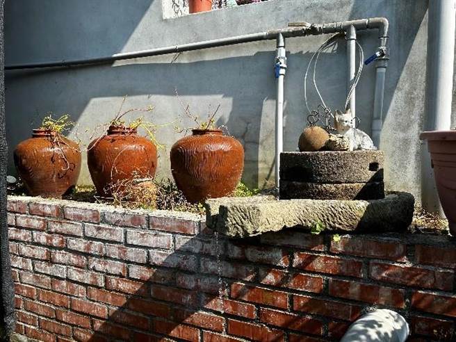 嘉縣梅山鄉大南社區早期石磨作為磨汁用途，有引入水流的意象。（嘉義縣政府提供／廖素慧嘉縣傳真）