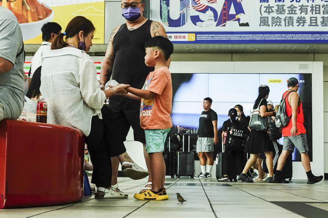 只要看見有人吃東西，麻雀就會趨前等候食物，完全無懼過往人潮。（黃子明攝）