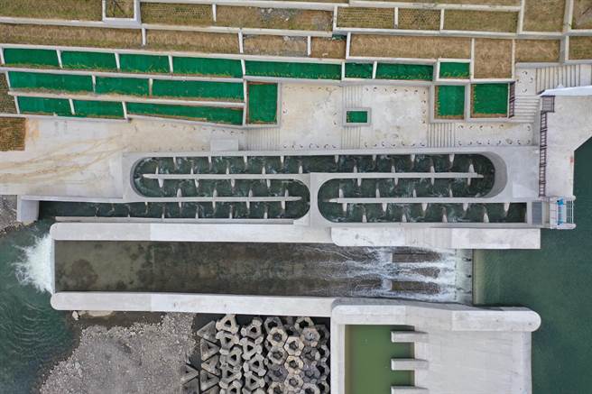 新店碧潭堰人工魚道通水觀察窗可看魚兒溯游- 生活- 中時