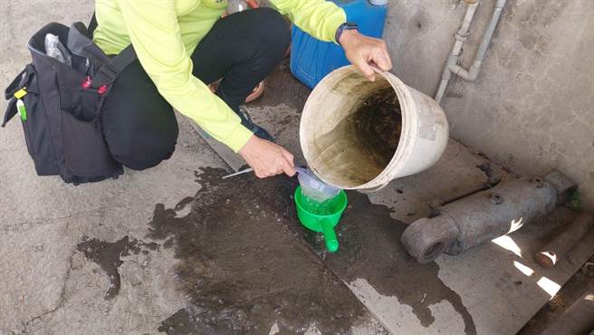 防疫人員在水桶內查獲孳生病媒蚊孑孓。（高雄市衛生局提供／崔正綱高雄傳真）