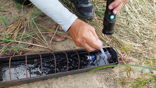 防疫人員在飼料盒內查獲孳生病媒蚊孑孓。（高雄市衛生局提供／崔正綱高雄傳真）