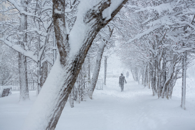 俄罗斯西伯利亚地区冬季气温严寒，冰天雪地是常见景象。（图／Shutterstock）