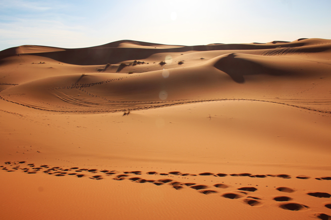 撒哈拉沙漠。（图／Shutterstock）