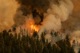 加拿大野火肆虐 今年已燒毀逾1000萬公頃