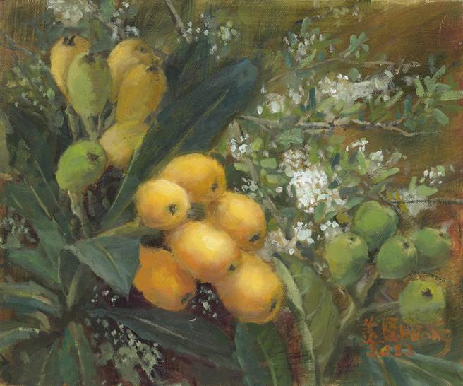 《枇杷》／油画（黄美贤提供）