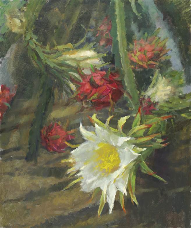 《火龙果花》／油画（黄美贤提供）