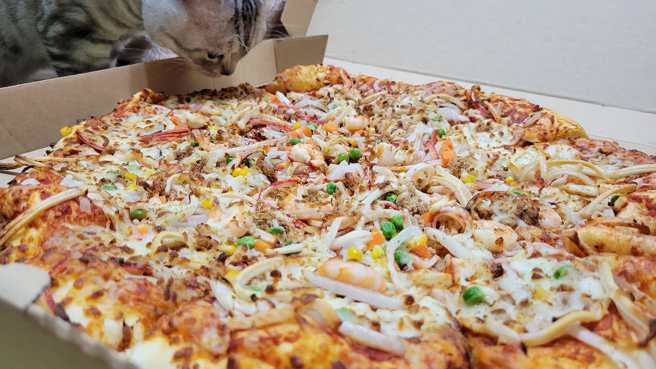 近日一名男網友分享好市多披薩10年來沒漲價，一直維持18吋300元的價格，超佛心。(翻攝自Costco好市多 商品經驗老實說FB)