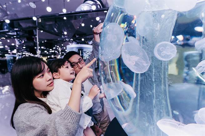 和逸饭店桃园馆推出结合饭店及Xpark水族馆吃喝玩乐的行程，抢攻亲子出游商机。（国泰饭店观光事业提供）